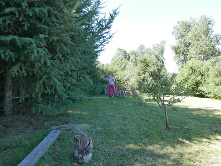 25